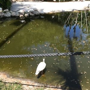 Meet your Posher, Janet